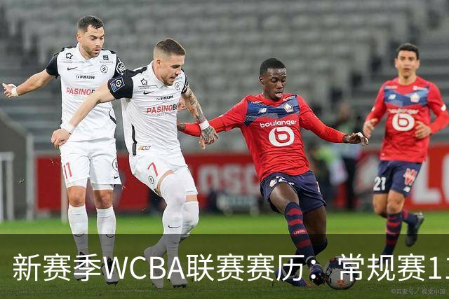 新赛季WCBA联赛赛历：常规赛11月14日揭幕 季后赛明年3月4日开打