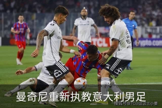 曼奇尼重新执教意大利男足