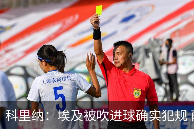 科里纳：埃及被吹进球确实犯规 萨拉赫倒地正常接触
