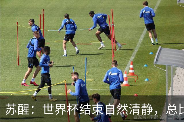 苏醒：世界杯结束自然清静，总比各种营销踢到一半就淘汰的清净好