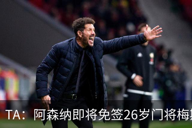 TA：阿森纳即将免签26岁门将梅斯利耶，曾效力利兹联7个赛季